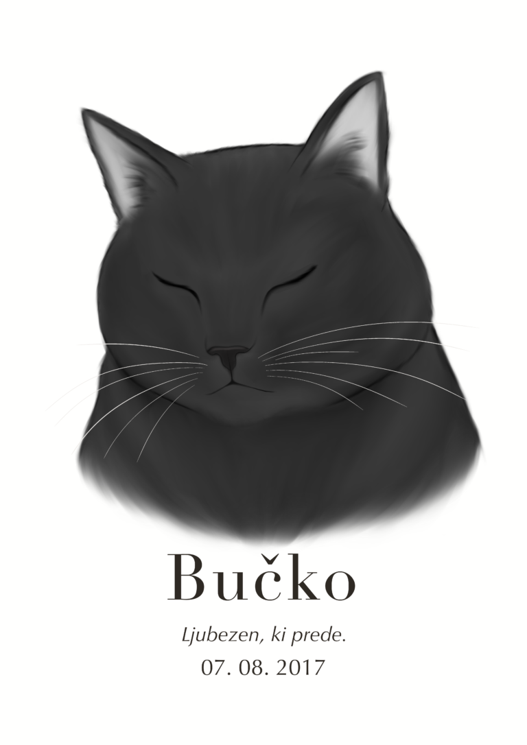 Mačke